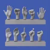 Royal Model 1:16 Assorted hands set No. 3