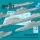 ResKit Models 1:72 Pylons for MiG-29 (APU-470 2 pcs for R-27 & APU-60 4 pcs for R-60) (3D Printed)